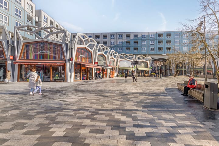 Foto 57 van Goudvink 5