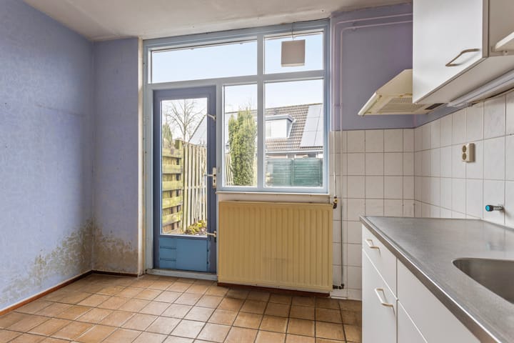 Foto 12 van Mandenvlechter 7