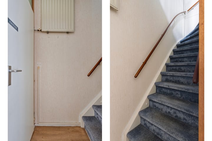 Foto 19 van Mandenvlechter 7