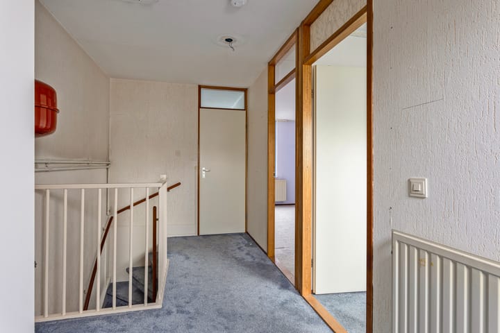 Foto 21 van Mandenvlechter 7