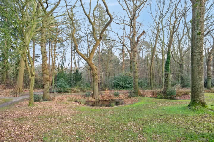 Foto 32 van van Goghstraat 9