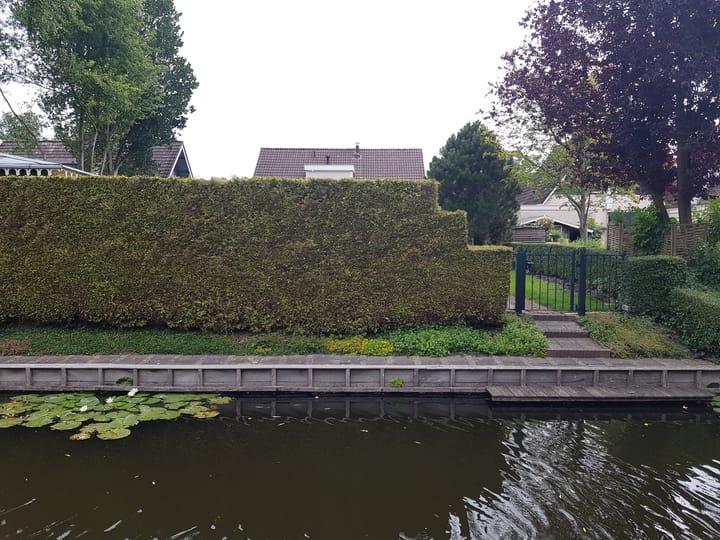 Foto 7 van Ibislaan 23