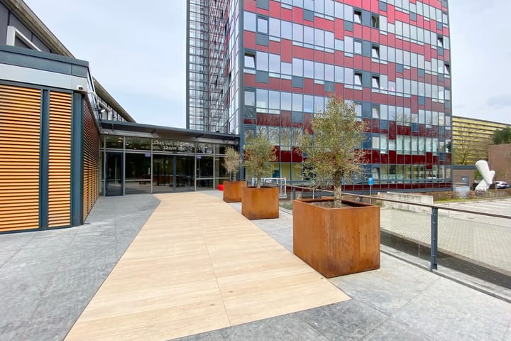 Foto 4 van Laan van Vollenhove 710