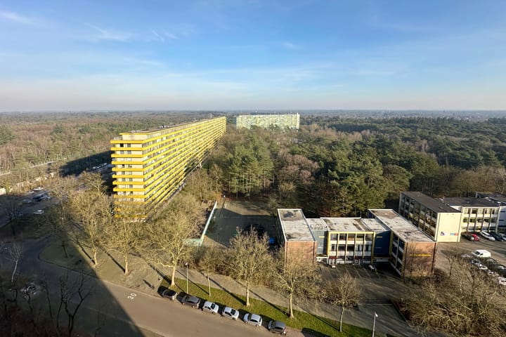 Foto 16 van Laan van Vollenhove 710