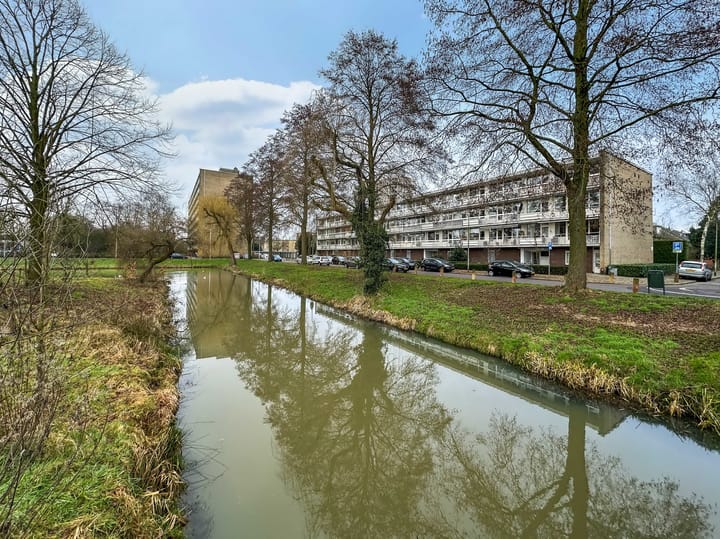 Foto 1 van Albatrosstraat 25