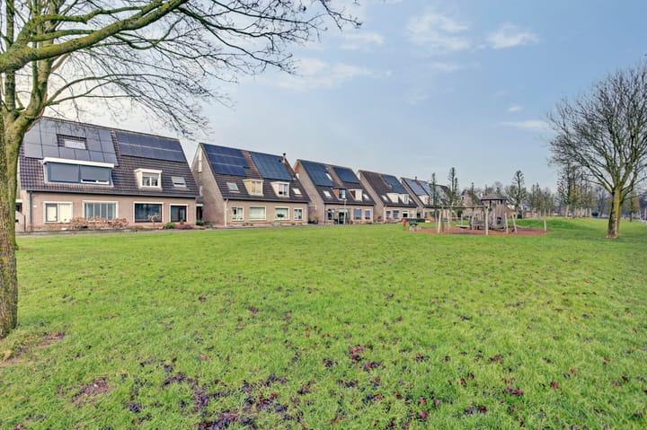 Foto 50 van Kruizemunt 54