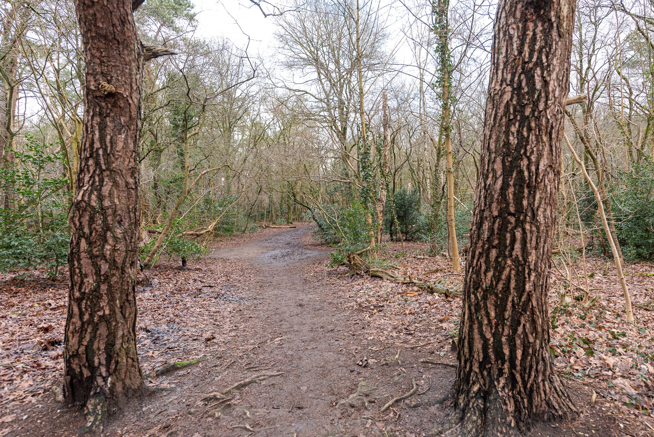 Foto 27 van Erfgooiersstraat 263