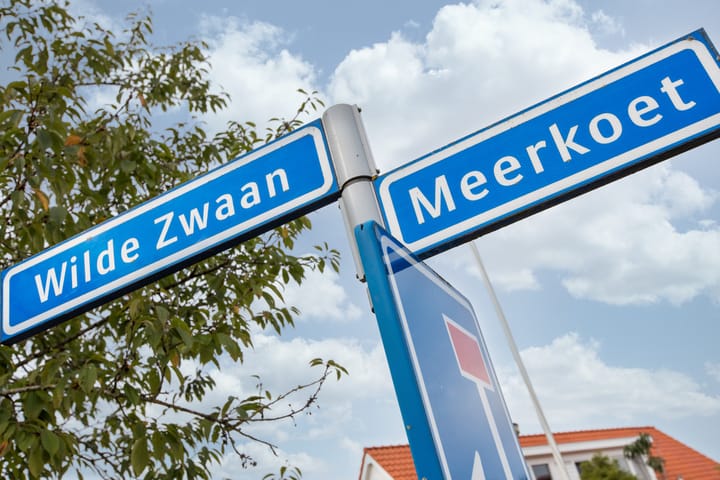 Foto 31 van Meerkoet 2