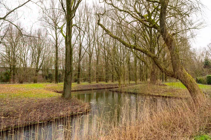 Foto 39 van Lichtegaarde 46