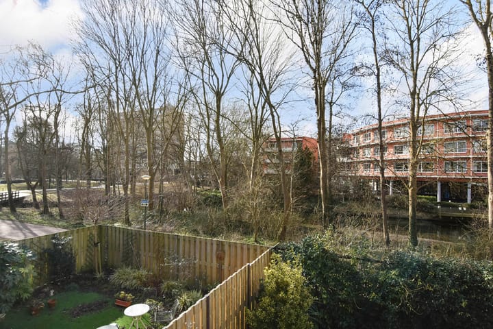 Foto 32 van Albert Termotestraat 199