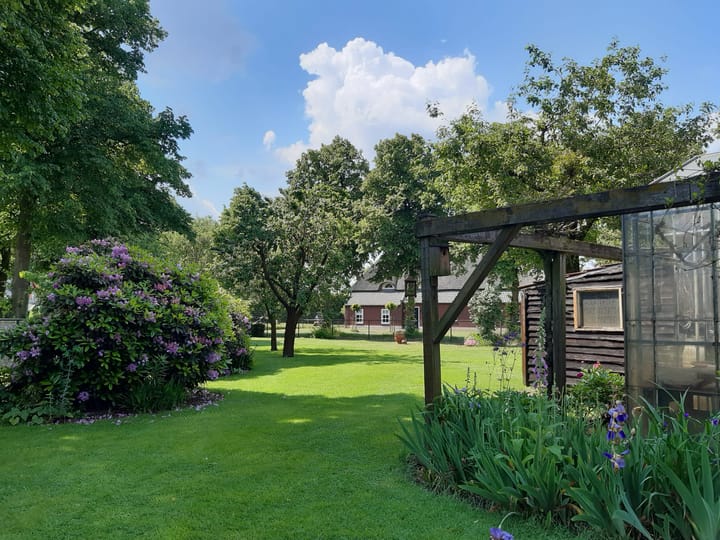 Foto 40 van Liessentstraat 28