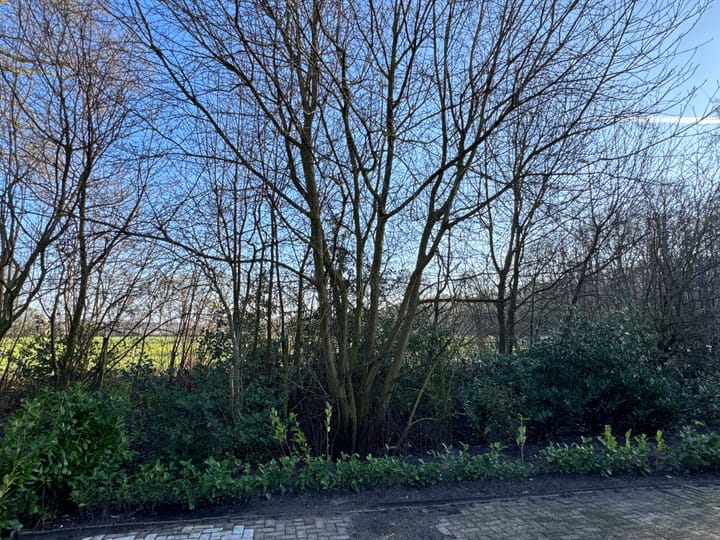 Foto 10 van Pr Hendrikstraat 20