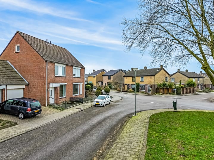 Foto 32 van Vogelwikke 33