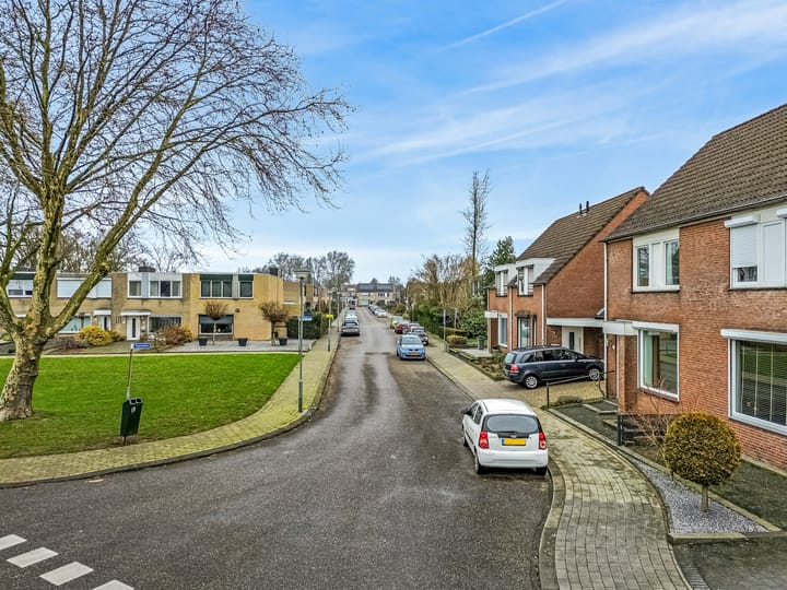 Foto 33 van Vogelwikke 33