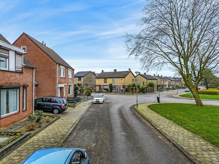 Foto 34 van Vogelwikke 33