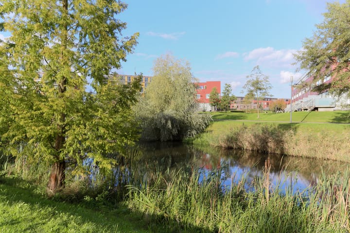 Foto 29 van Baars 20