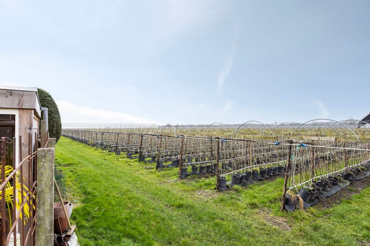 Foto 3 van Eikenlaan 6