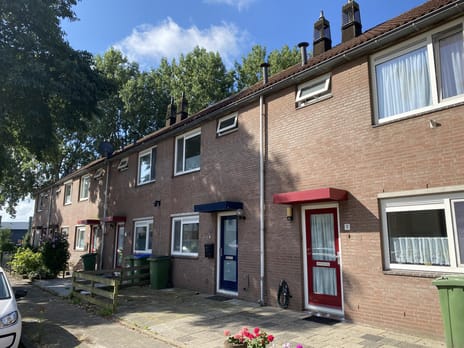 undefined main image