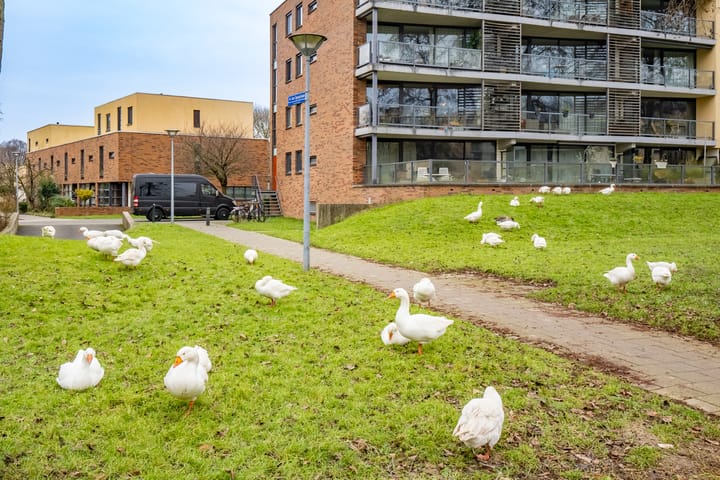 Photo 39 of Van Spanjelaan 63