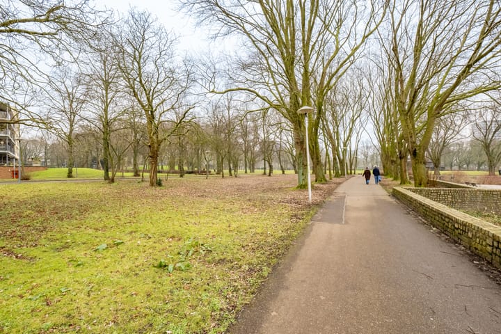 Photo 43 of Van Spanjelaan 63