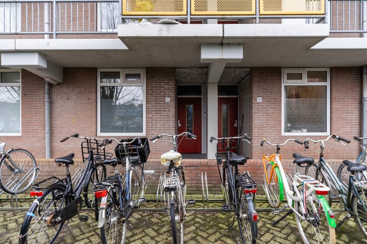 Foto 5 van Zuidvliet 422