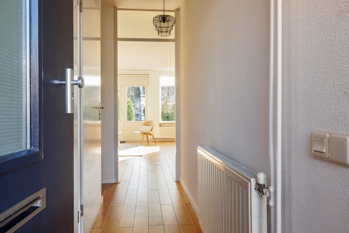 Foto 8 van Spinner 31