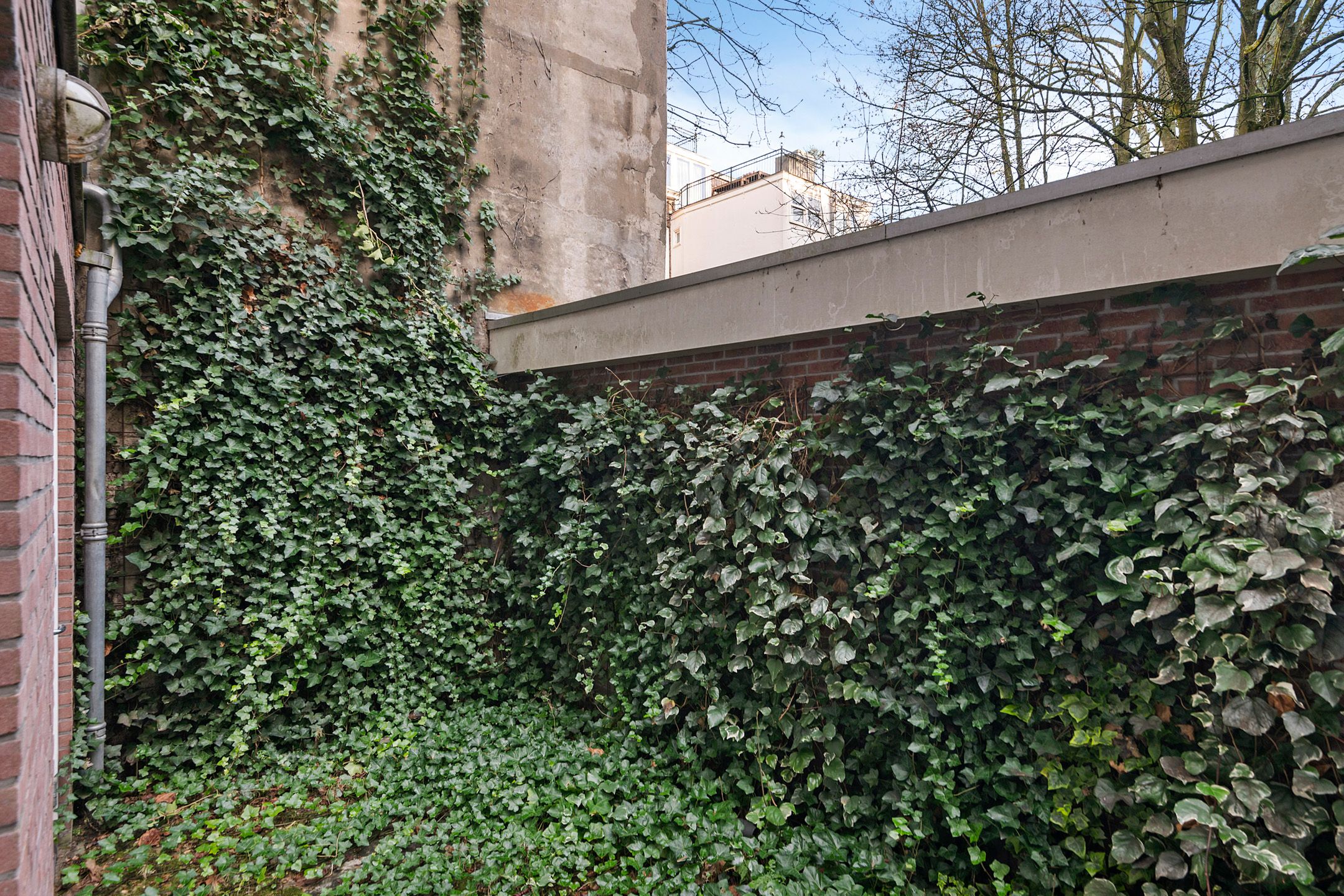 Foto 21 van Hemonystraat 49-H