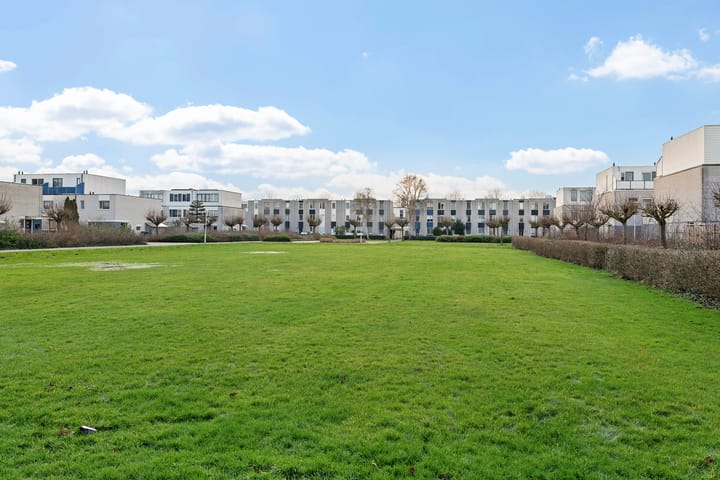 Foto 41 van Hemelsblauw 38