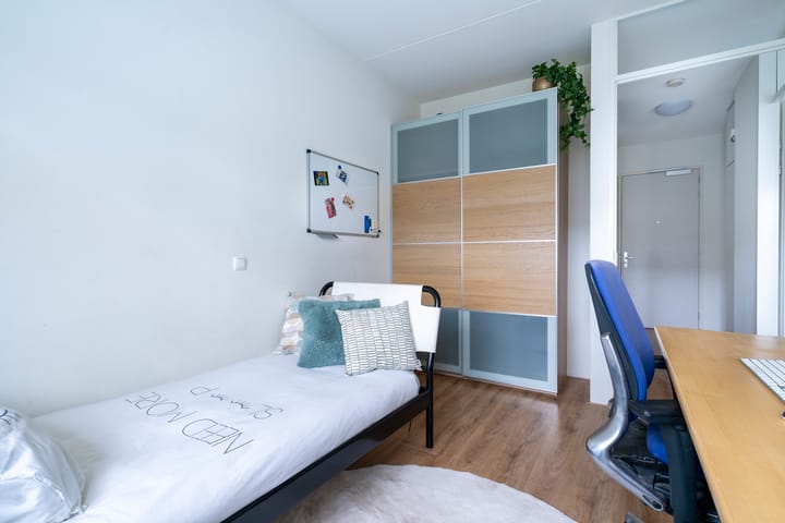 Photo 18 of Nedereindseweg 30-13