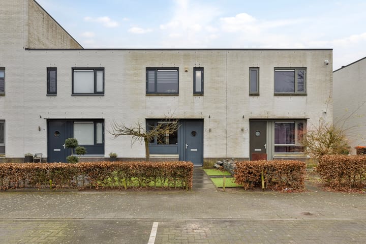 Foto 1 van Zandloopkever 21