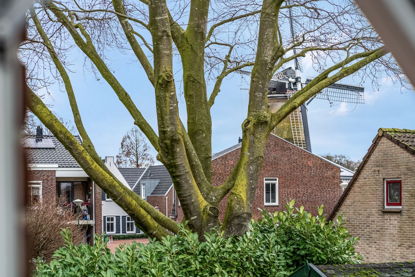 Foto 29 van Mgr Le Blancstraat 3