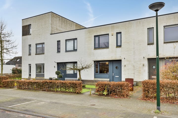 Foto 7 van Zandloopkever 21