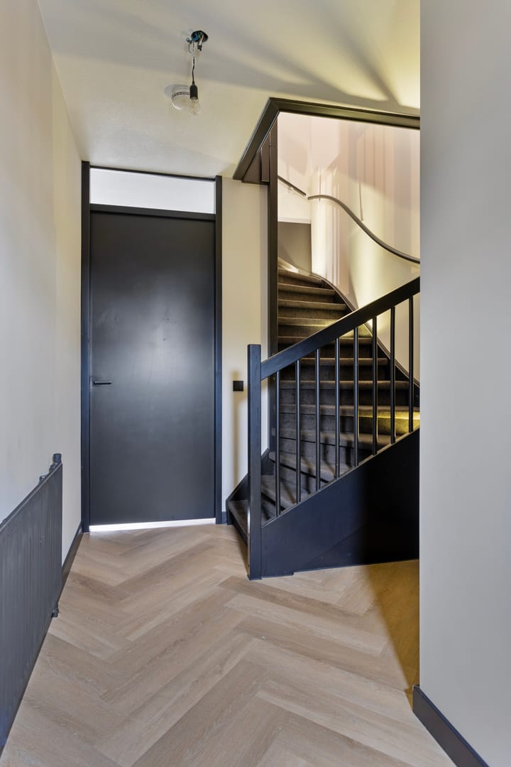 Foto 9 van Zandloopkever 21