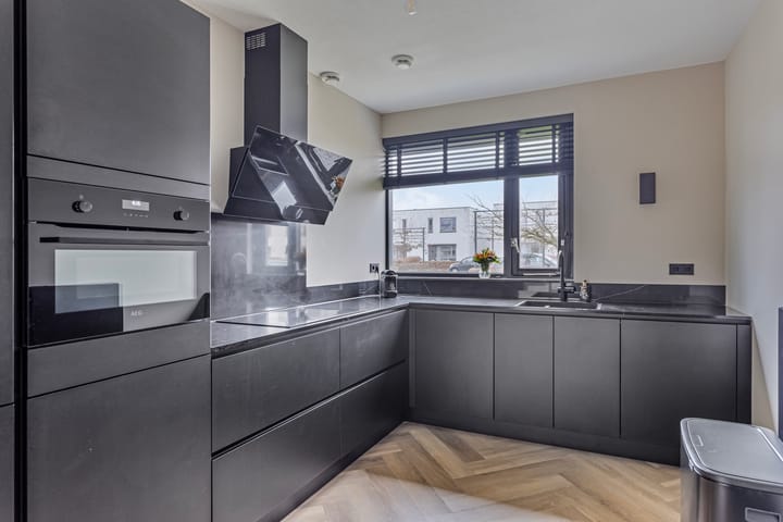 Foto 15 van Zandloopkever 21