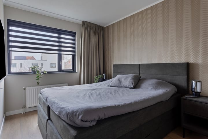 Foto 20 van Zandloopkever 21