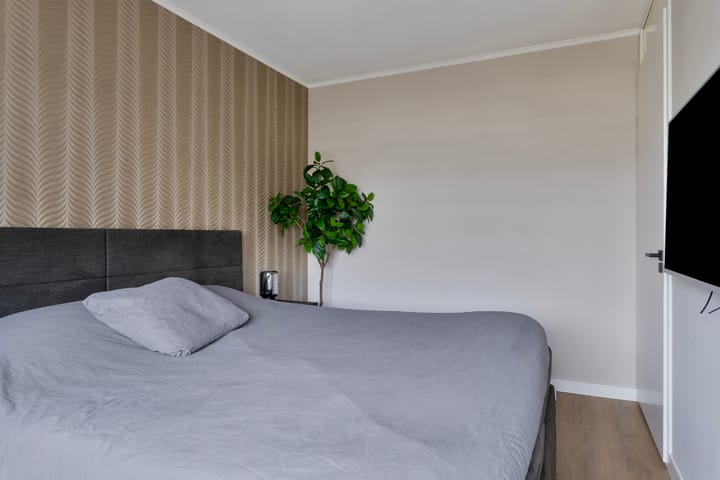 Foto 21 van Zandloopkever 21