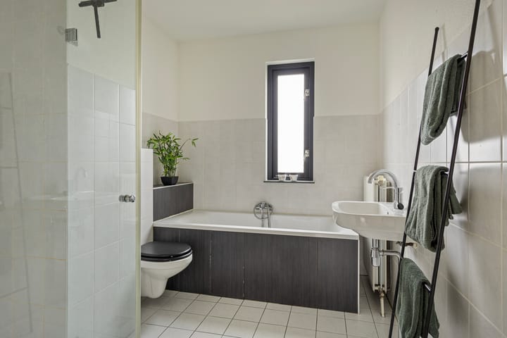 Foto 22 van Zandloopkever 21