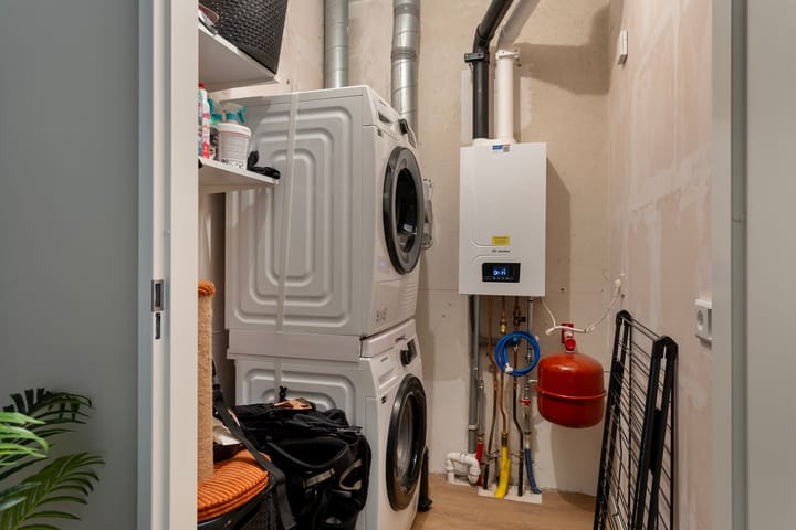 Foto 26 van Zandloopkever 21