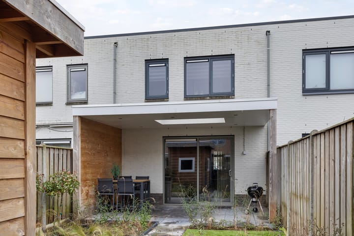 Foto 27 van Zandloopkever 21