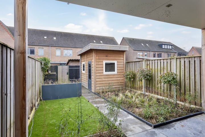 Foto 29 van Zandloopkever 21