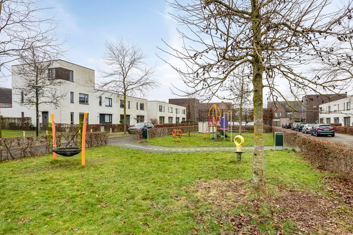 Foto 30 van Zandloopkever 21