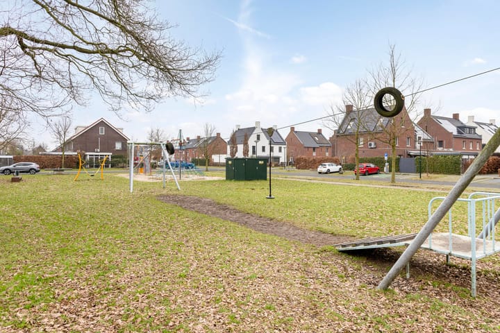 Foto 31 van Zandloopkever 21