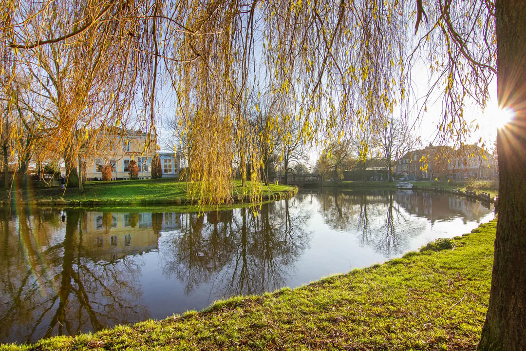 Foto 31 van Schotersingel 131-B