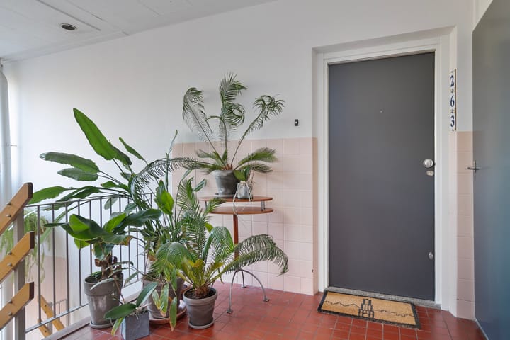 Foto 22 van Spreeuwenstraat 263