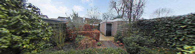 Achtertuin