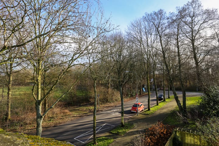 Foto 40 van 't Hert 85