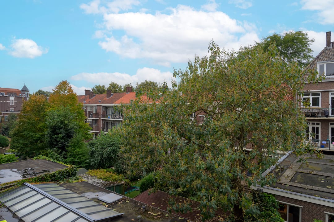 Foto 11 van Waterloostraat 43-C