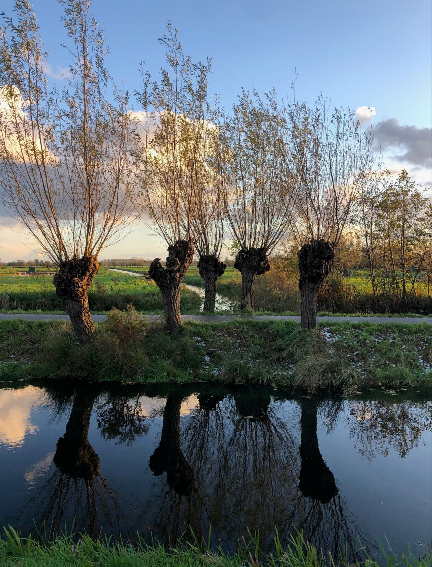 Foto 36 van Venuslaan 57