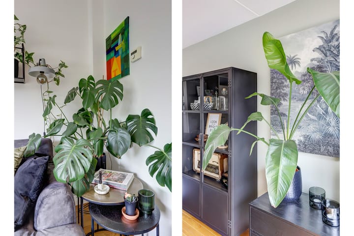 Foto 19 van Trambaan 10