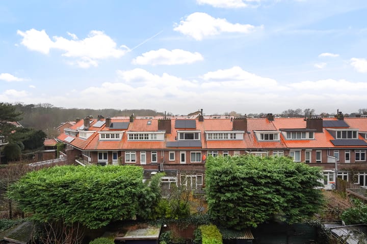 Foto 16 van Laan van Meerdervoort 1547